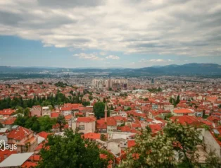 Softinays – Web Tasarım ve Yazılım Hizmetleri